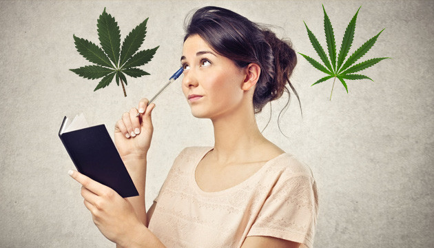 Выбор между индикой и сативой Индика или сатива