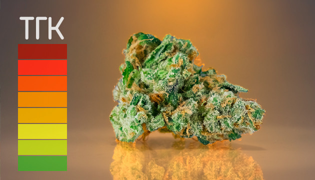 Сколько ТГК в автоцветах Уровень ТГК в автоцветах